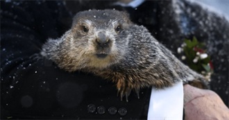 Lobsy February 2022 TBR