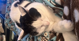 Books on Michael&#39;s TBR and Donate List