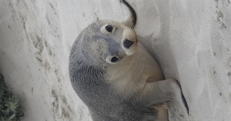 All These Things That I Have Done