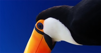 James&#39; Travel List