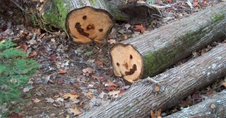 Ripley&#39;s Fav Movies