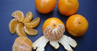 What Ray Ate - Day 408