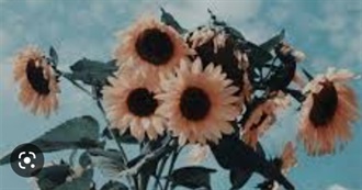 Shows That Veronica Has Watched