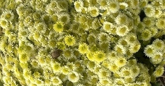 Gospel Hall Bible Conferences