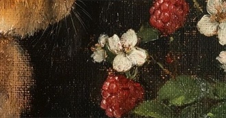 Ladybird&#39;s Read Books