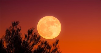 Ivy&#39;s 101 Albums