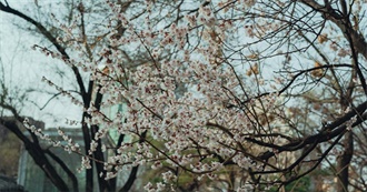 April 2025 Books Read