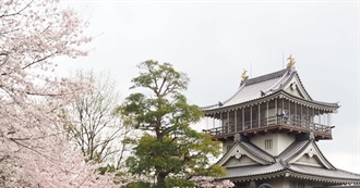 Japan Sights and Experiences