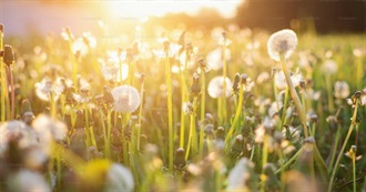 Opposites--Which Do You Prefer or Maybe Both?