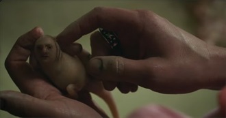 Last 10 Movies Watched - 54 (Cch)