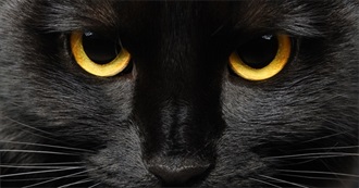 Halloween-Y Movies AC Actually Wants to Watch