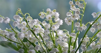 Cathy&#39;s May 2025 Reads