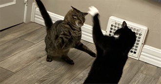 Di&#39;s One Hundred Favorite Movies