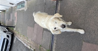 Georgina&#39;s 50 Favourite Films