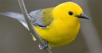 Birds of the ABA Area