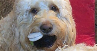 Lydia&#39;s Top Books