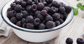 Everything SM Ate Today - Part 96