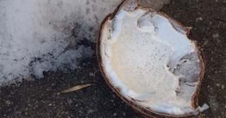 223 Movies Colette Has Seen 1980-2023