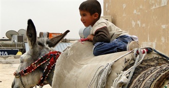 101 Movies That Might Be Hard to Watch (Perhaps)