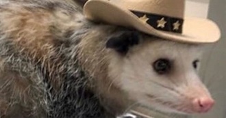 Frankie&#39;s Fav Films