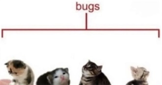 Cosmo&#39;s Strange Freaky List of Movies