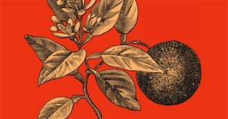 Pento Top 100 Albums