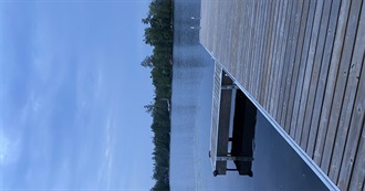 Jesse Eisenberg Movies