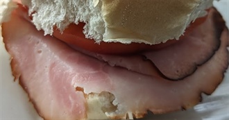 Big T&#39;s Food Eaten Today 580