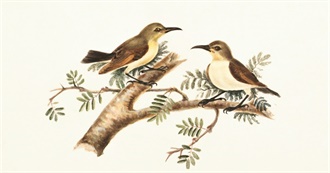 Essie&#39;s Top Albums