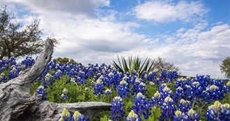 Texas State Parks