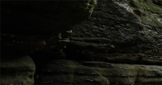 Environmentally Friendly