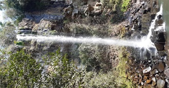 Rose&#39;s Favourite Films