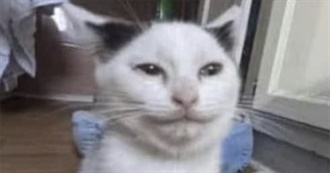 Should&#39;ve Read These Already