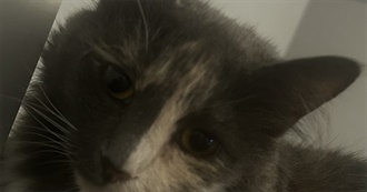 Barbielore&#39;s Movie List