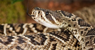 Books Baillie Has Read in 2024