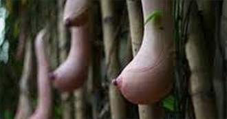 Exotic Fruits That Look Like Aliens