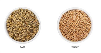 Healthy Diet According to Are Waerland