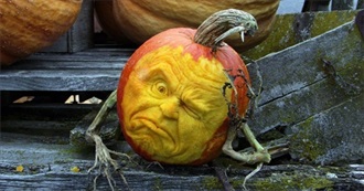 Halloween Books for Every Kind of Reader