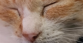 Video Games Alyssa Loves!!!