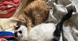 Reka&#39;s Top 50 Movies