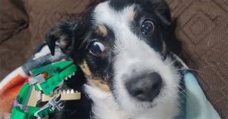 Nico&#39;s Shitty Little Games