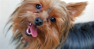 Gregg&#39;s Top 50 Music Artists :)