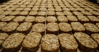 What Ray Ate - Day 934