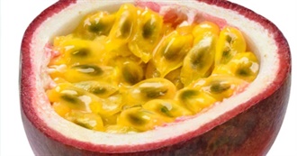 Every Fruit Vegetable Herb and Grains