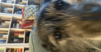 Jenny&#39;s Top 50 Movies!