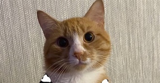 The Best of the Bestest Besties Films