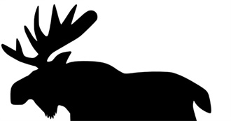 Moose&#39;s Most Movies