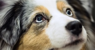 Favourite Celebrities 2025