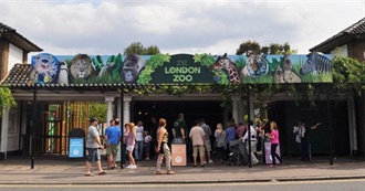 Animals at London Zoo