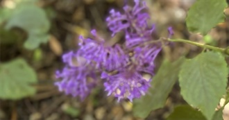 Round the World 2025 Part 15